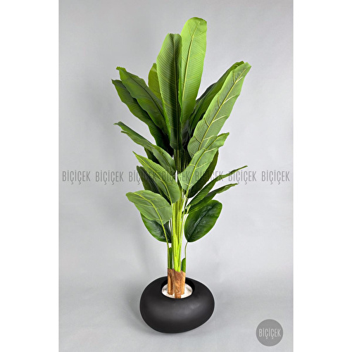 Biçiçek Yapay Muz Ağacı 185-220 Cm Siyah1