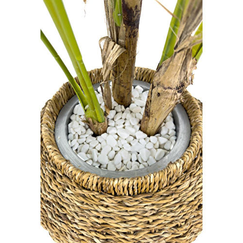 Biçiçek Luxury Areka Palmiyesi 180cm Hasır Saksıda Bohem3 Biçiçek Luxury Areka Palmiyesi 180cm Hasır Saksıda Bohem3