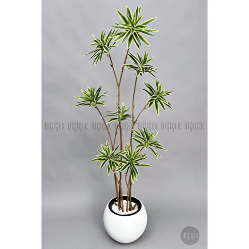 Biçiçek 160 Cm Dragon Bitkisi Yapay Dracaena Küre Saksıda Beyaz1