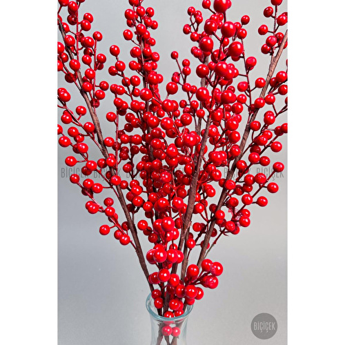 Biçiçek Koki̇na 80 Cm 108 Meyveli̇ Yilbaşi Bi̇tki̇si̇ Tek Dal