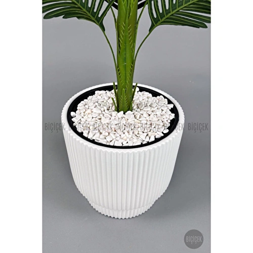 Biçiçek Yapay Areka Ağacı 160-180 Cm Beyazgala180cm