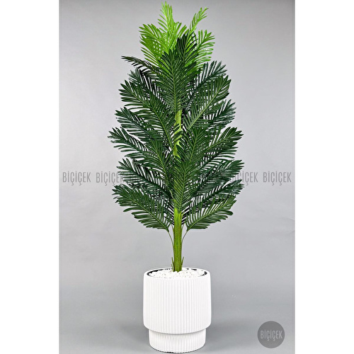 Biçiçek Yapay Areka Ağacı 160-180 Cm Beyazgala180cm