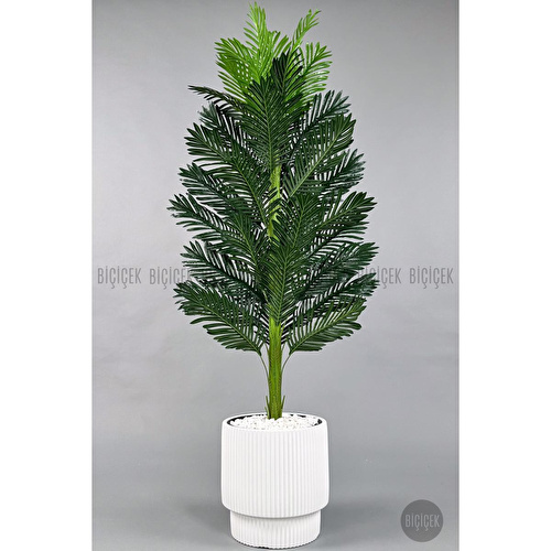 Biçiçek Yapay Areka Ağacı 160-180 Cm Beyazgala180cm