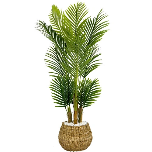 Biçiçek Areka Palmiyesi 130cm Geoit Hasır Saksıda
