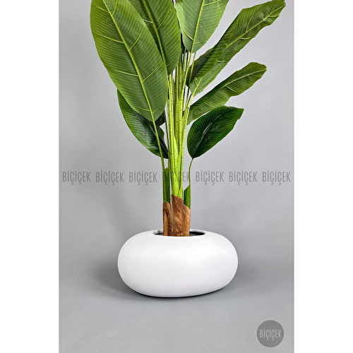 Biçiçek Yapay Muz Ağacı 185-220 Cm Beyaz1 Biçiçek Yapay Muz Ağacı 185-220 Cm Beyaz1