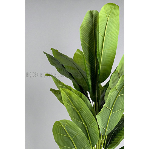 Biçiçek Yapay Muz Ağacı 185-220 Cm Beyaz1 Biçiçek Yapay Muz Ağacı 185-220 Cm Beyaz1