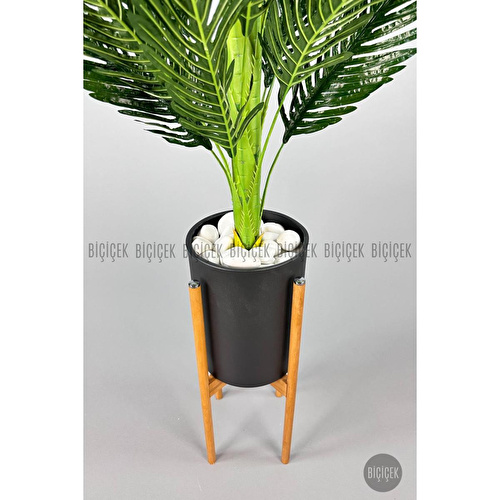 Biçiçek 150cm Areka Ağacı Ayaklı Metal Saksıda 5