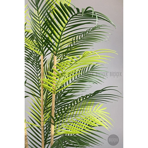 Biçiçek 125cm Areka Ağacı 24 Yapraklı Nergiz Saksıda 1