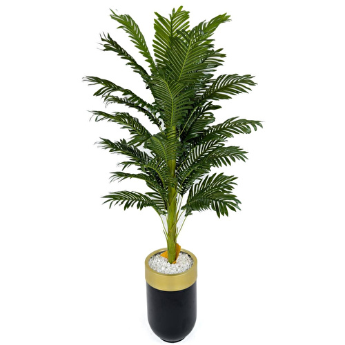 Biçiçek Areka Palmiyesi 170cm Metal Siyah Gold Darbuka Saksıda