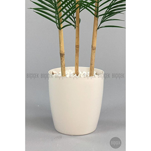 Biçiçek 115cm Areka Ağacı 24 Yapraklı Yakut Saksıda 1