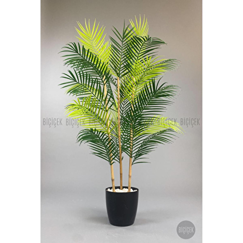 Biçiçek 115cm Areka Ağacı 24 Yapraklı Yakut Saksıda 2