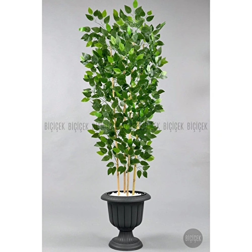 Biçiçek Yapay Benjamin Ağacı 170cm Yoğun Yapraklı Bambu Gövdeli Antrasit Renk Nergis Saksıda
