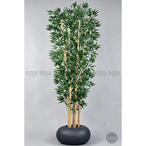 Biçiçek Zen Bambu Ağacı 220-240 Cm Fiber Saksıda Grifiber1
