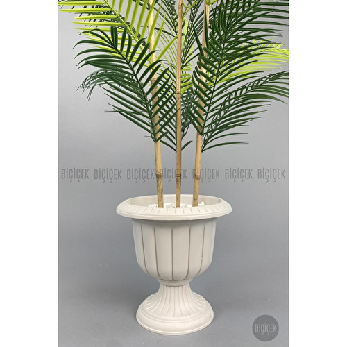 Biçiçek 125cm Areka Ağacı 24 Yapraklı Nergiz Saksıda 2 Biçiçek 125cm Areka Ağacı 24 Yapraklı Nergiz Saksıda 2