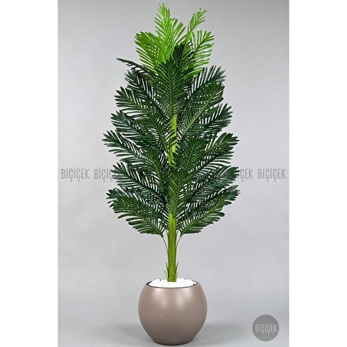 Biçiçek Yapay Areka Ağacı 160-180 Cm Kahverengiküre170cm