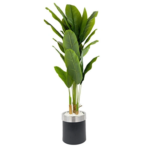 Biçiçek Muz Ağacı 200cm Siyah Gümüş Metal Saksıda