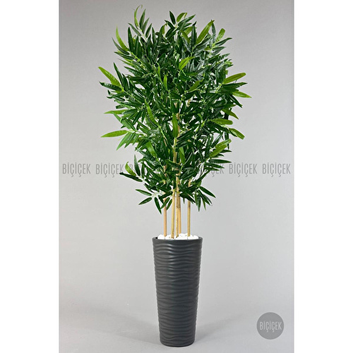Biçiçek Yapay Bambu Ağacı 185cm Büyük Yapraklı 5 Bambulu Antrasit Renk Kumsal Saksıda Yapay Ağaç Biçiçek Yapay Bambu Ağacı 185cm Büyük Yapraklı 5 Bambulu Antrasit Renk Kumsal Saksıda Yapay Ağaç