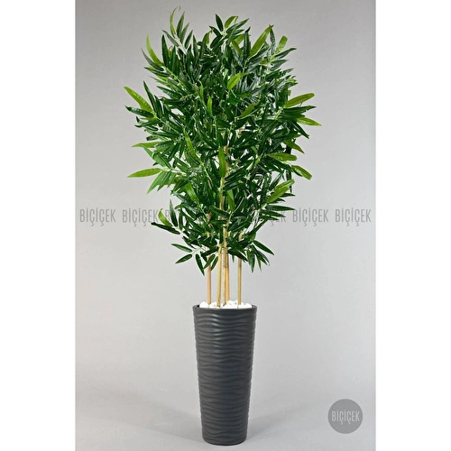 Biçiçek Yapay Bambu Ağacı 185cm Büyük Yapraklı 5 Bambulu Antrasit Renk Kumsal Saksıda Yapay Ağaç