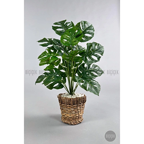 Biçiçek Yapay Monstera Deve Tabanı 65-70 Cm Hasir1