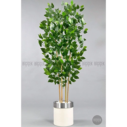 Biçiçek Yapay Benjamin Ağacı 140cm Krem Gümüş Metal Saksıda