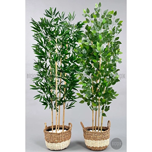 Biçiçek 140 Cm Yapay Bambu&benjamin Ağacı Ikiliset Hasır Saksıda