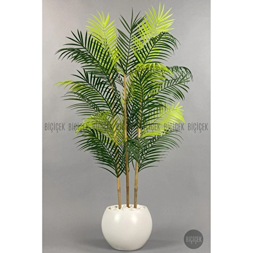 Biçiçek 120cm Areka Ağacı 24 Yapraklı Küre Saksıda 1
