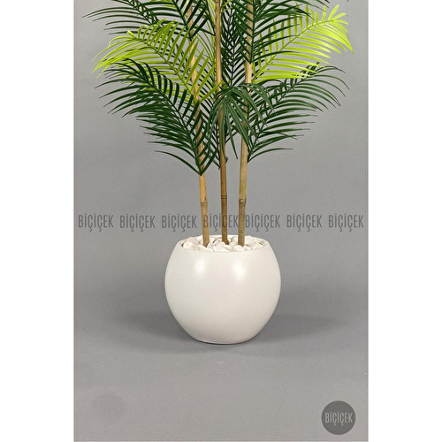 Biçiçek 120cm Areka Ağacı 24 Yapraklı Küre Saksıda 1