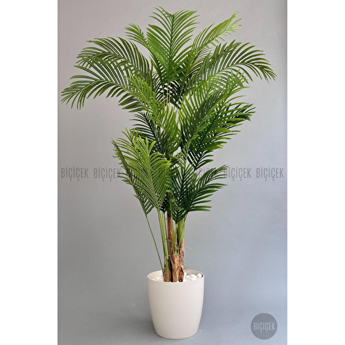 Biçiçek Yapay Areka Palmiyesi 200 Cm Kırıkbeyaz Yakut Saksıda