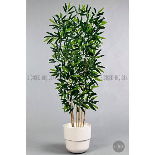 Biçiçek Yapay Bambu Ağacı 6 Dallı 150 Cm Yoğun Yapraklı Beyaz Biçiçek Yapay Bambu Ağacı 6 Dallı 150 Cm Yoğun Yapraklı Beyaz