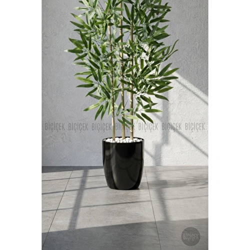 Biçiçek 110 Cm Bambu Ağacı Yakut Saksıda Siyah