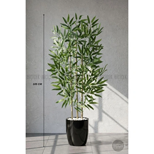 Biçiçek 110 Cm Bambu Ağacı Yakut Saksıda Siyah