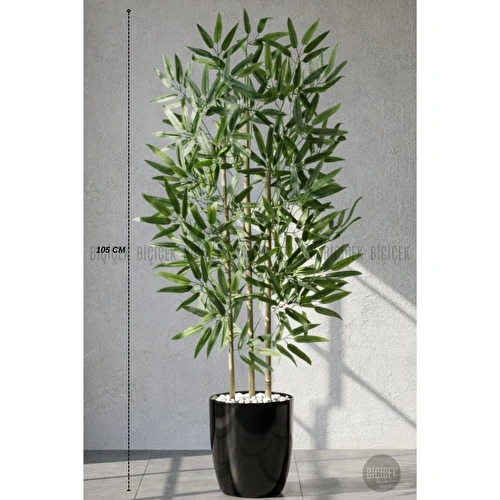 Biçiçek 110 Cm Bambu Ağacı Yakut Saksıda Siyah