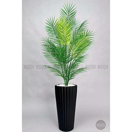 Biçiçek 180 Cm Areka Ağaci 24 Yaprakli Li̇lyum Saksida Siyahlilyum Biçiçek 180 Cm Areka Ağaci 24 Yaprakli Li̇lyum Saksida Siyahlilyum