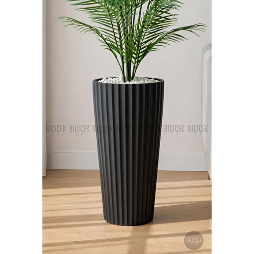 Biçiçek 180 Cm Areka Ağaci 24 Yaprakli Li̇lyum Saksida Siyahlilyum Biçiçek 180 Cm Areka Ağaci 24 Yaprakli Li̇lyum Saksida Siyahlilyum