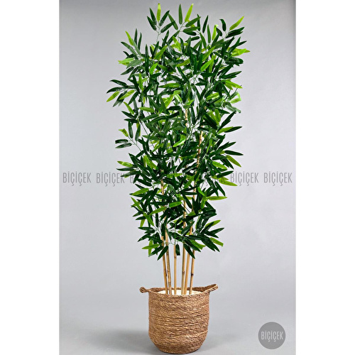 Biçiçek Yapay Bambu Ağacı 6 Dallı 150 Cm Yoğun Yapraklı Hasır1 Biçiçek Yapay Bambu Ağacı 6 Dallı 150 Cm Yoğun Yapraklı Hasır1