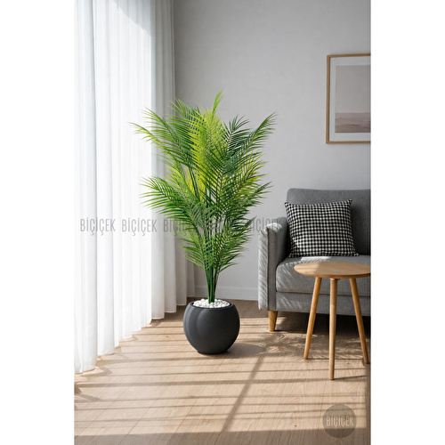 Biçiçek Areka Ağaci 24 Yaprakli 130 Cm Küre Saksida Antrasi̇t