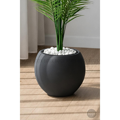 Biçiçek Areka Ağaci 24 Yaprakli 130 Cm Küre Saksida Antrasi̇t