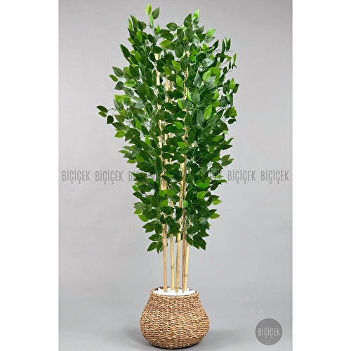 Biçiçek Yapay Benjamin Ağacı 170cm Hasır Geoit Saksıda