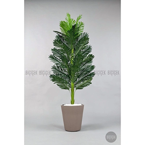 Biçiçek Yapay Areka Ağacı 160-180 Cm Kahverengiluna180cm