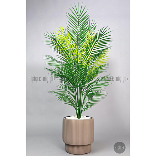 Biçiçek Areka Ağaci 24 Yaprakli 120-130 Cm Kahverengi