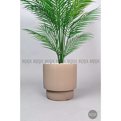 Biçiçek Areka Ağaci 24 Yaprakli 120-130 Cm Kahverengi