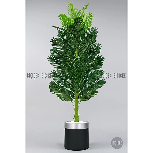 Biçiçek Yapay Areka Ağacı 160-180 Cm Siyahgümüş170cm