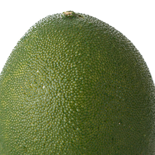 Mudo Home Yapay Yeşi̇l Li̇mon