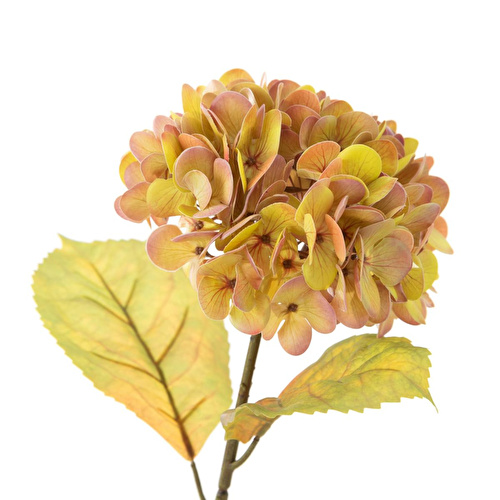 Mudo Home Ortanca Çi̇çek Amber 54 Cm