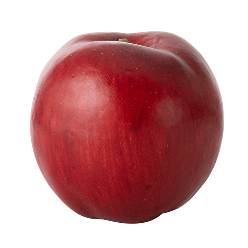 Mudo Home Yapay Elma 10 Cm