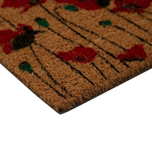 Mudo Home Red Blossom Kapi Paspasi 40x60