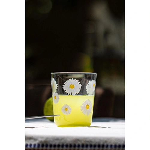 Rakle Fiona 4'lü Su Bardağı Seti 315 Cc