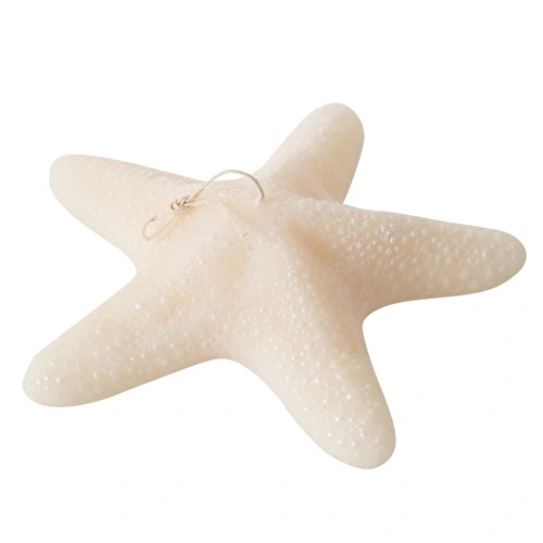 Mudo Home Deni̇z Yildizi Mum 21x5cm