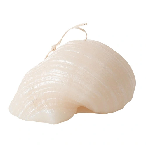 Mudo Home Deni̇z Kabuğu Mum 11x9cm