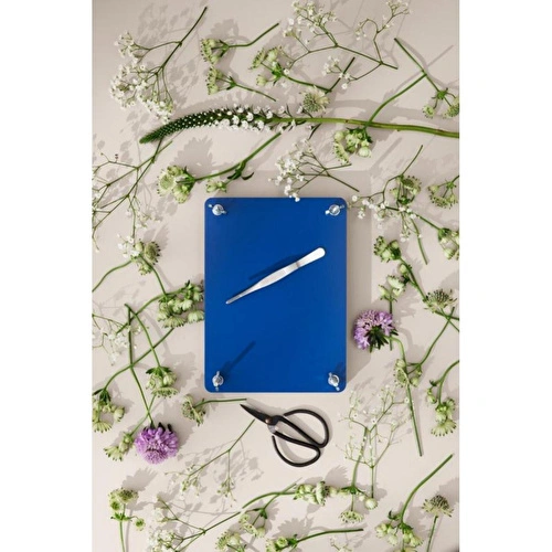 Printworks Kit - Çiçek Kurutma Seti